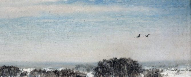 view_from_the_conservatory_saska_kepa_during_winter Fragment