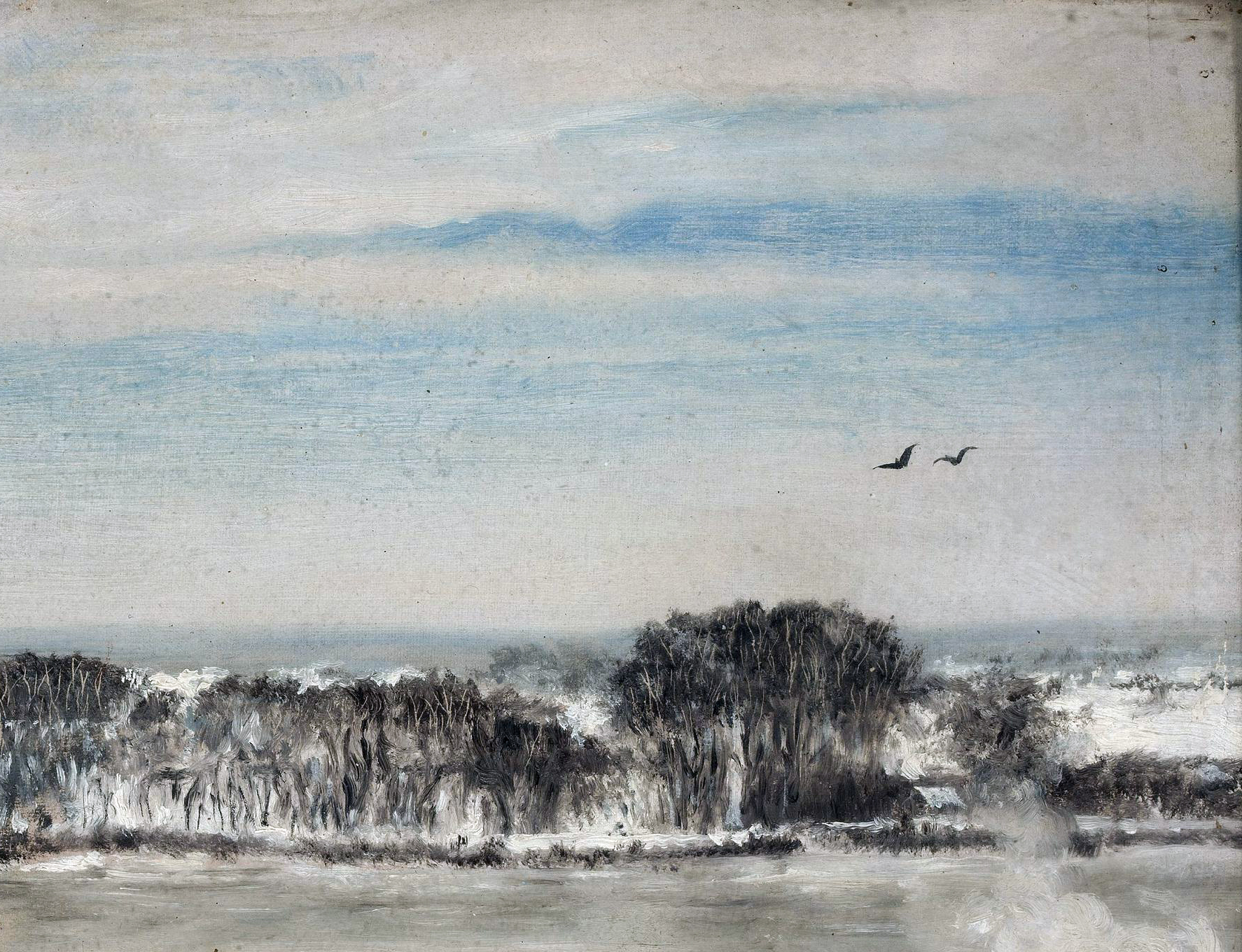 view_from_the_conservatory_saska_kepa_during_winter Fragment